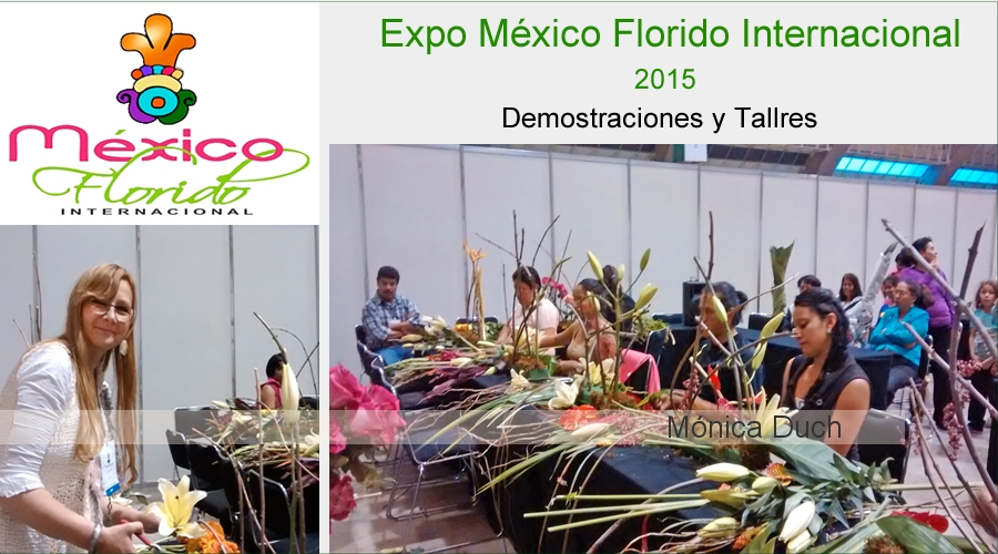 EXPO MEXICO FLORIDO INTERNACIONAL 2015